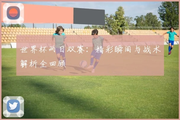 世界杯两日双赛：精彩瞬间与战术解析全回顾